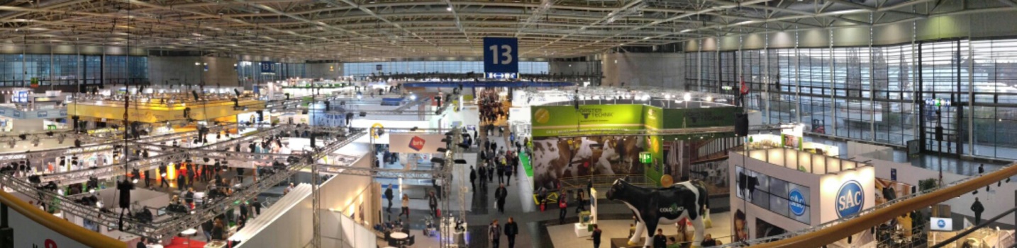 Hall 13 on the 3rd day: Cattle: Machinery and equipment for milking and refrigerator.
