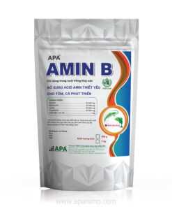 APA AMIN B
