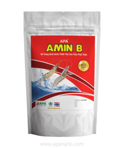 APA AMIN B