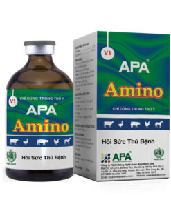 APA AMINO