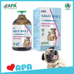 APA CALCI B12 I