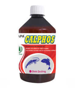 APA CALPHOS