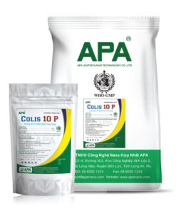 APA COLIS 10 P