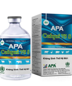 APA CEFQUI 75 S