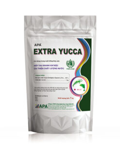 APA EXTRA YUCCA