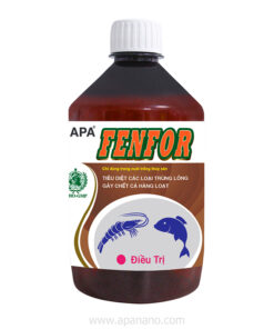 APA FENFOR