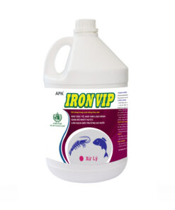 APA IRON VIP