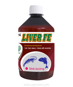 APA LIVER FE