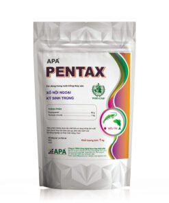 APA PENTAX