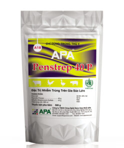 APA PENSTREP 40 P