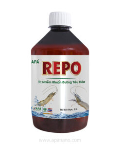 APA REPO