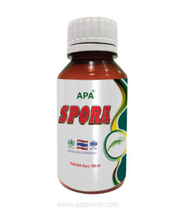 APA SPORA