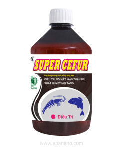 APA SUPER CEFUR