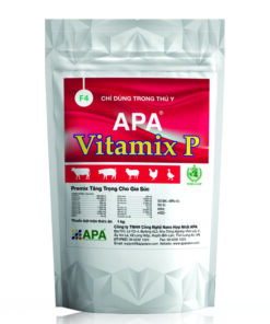 APA VITAMIX P