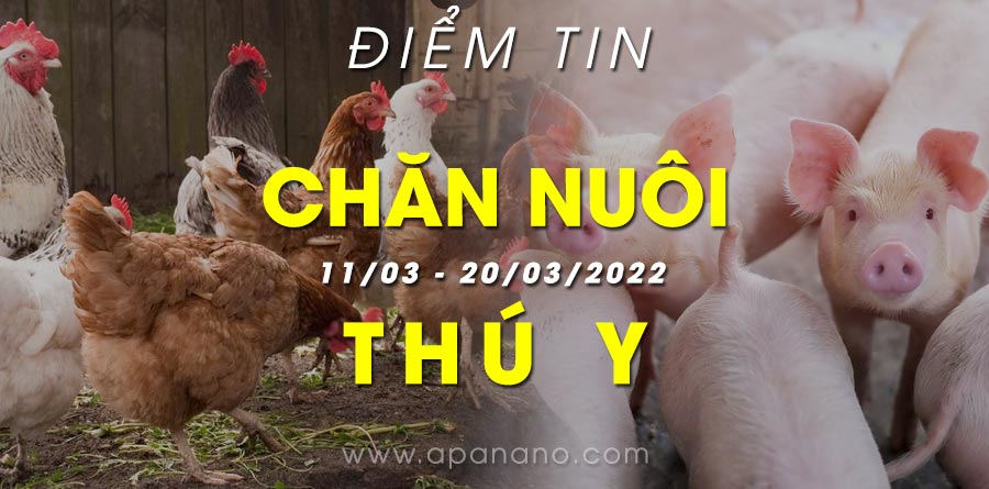 Điểm tin Chăn Nuôi - Thú Y (11/03 - 20/03/2022)