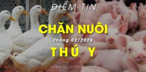 Điểm tin Chăn Nuôi - Thú Y (Tháng 03/2023)