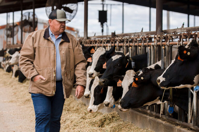 Drug, feed ingredient shortages hit U.S. livestock producers