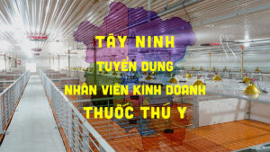 [Tây Ninh] Nhân viên Kinh doanh Thuốc Thú Y