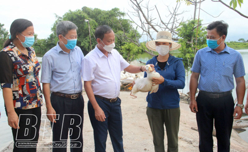 Thái Bình: Mô hình chăn nuôi Vịt thương phẩm an toàn sinh học theo chuỗi liên kết
