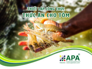 Thiết lập Công Thức Thức Ăn cho Tôm