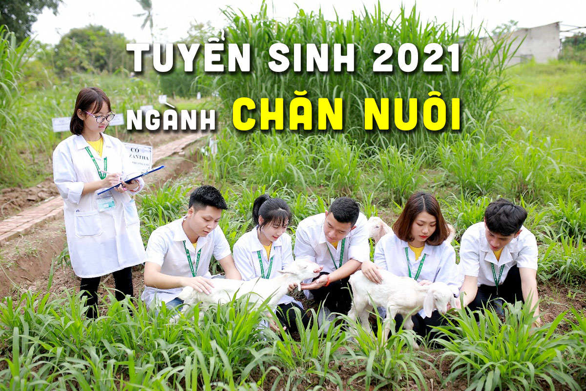 Tuyển sinh ngành Chăn Nuôi, Thú Y năm 2021